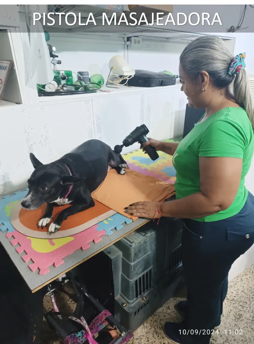 Fisioterapia